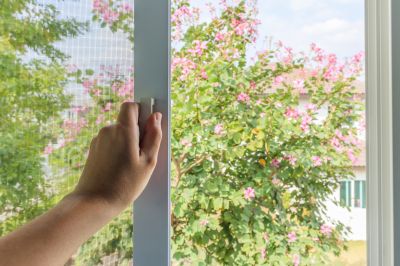 Regular Maintenance Options