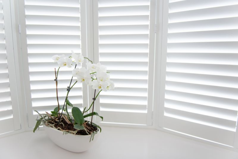 Wood Shutters Installation in Denver, CO